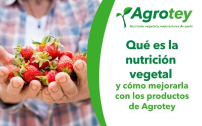 Qué es la nutrición vegetal y cómo mejorarla con los productos de Agrotey