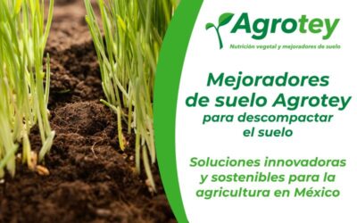 Mejoradores de suelo Agrotey para descompactar el suelo: soluciones innovadoras y sostenibles para la agricultura en México