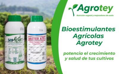 Bioestimulantes Agrícolas Agrotey: potencia el crecimiento y salud de tus cultivos