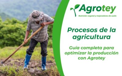 Procesos de la agricultura: guía completa para optimizar la producción con Agrotey