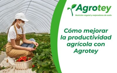 Cómo mejorar la productividad agrícola con Agrotey