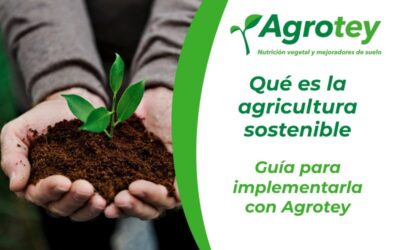 Qué es la agricultura sostenible: guía para implementarla con Agrotey