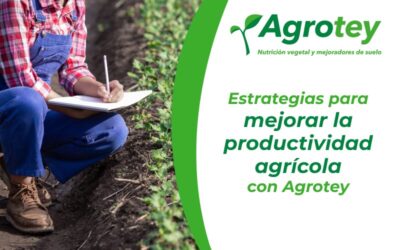 Estrategias para mejorar la productividad agrícola con Agrotey
