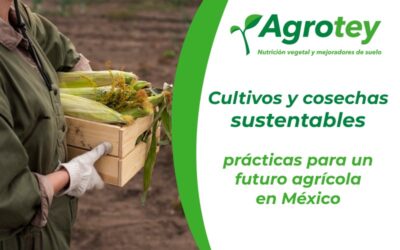 Cultivos y cosechas sustentables: prácticas para un futuro agrícola en México